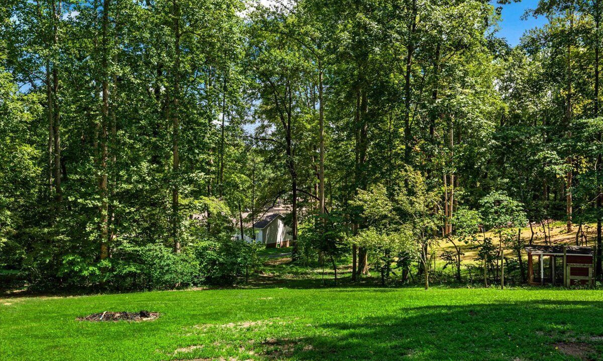 Photo of Outdoor in Bumpass