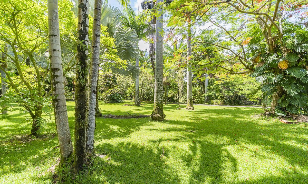Photo of Outdoor in Hakalau