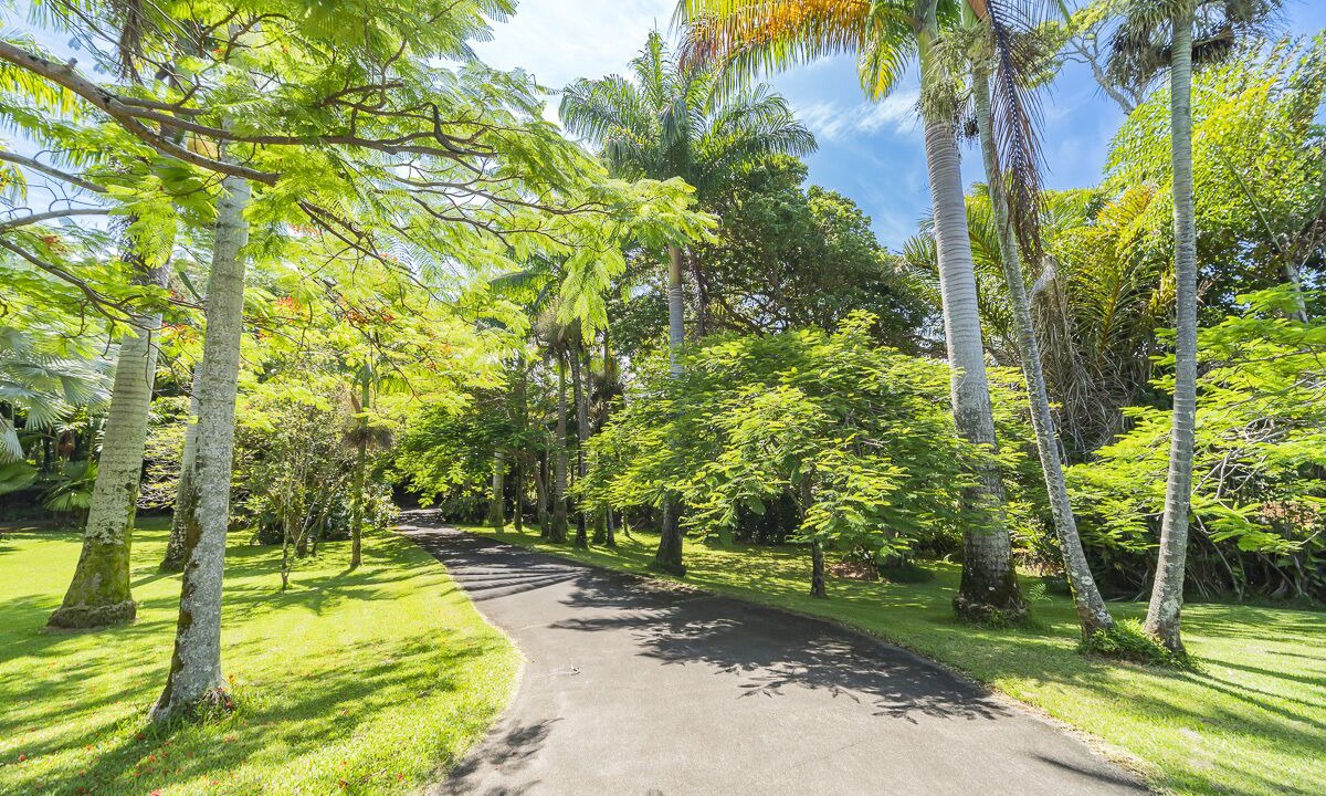 Photo of Outdoor in Hakalau