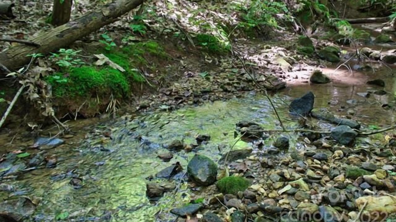 Photo of Outdoor in Clearwater Creek