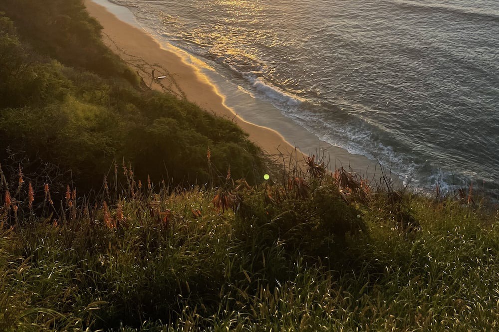Photo of Others in Nuuanu - Punchbowl