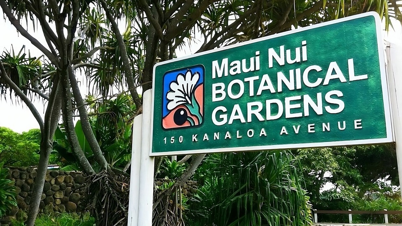 Photo of Outdoor in Kahului