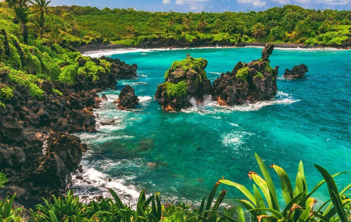 Photo of Others in Kahului