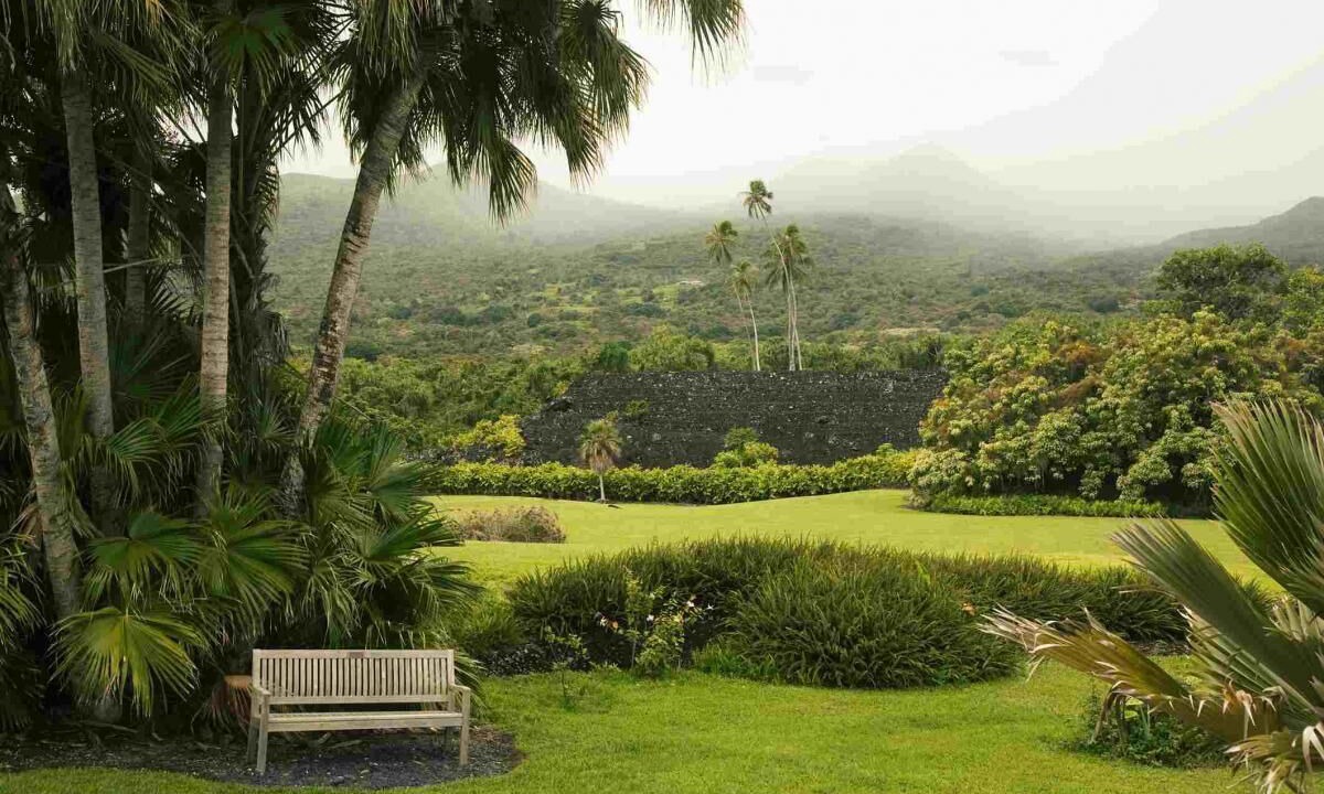 Photo of Outdoor in Kahului