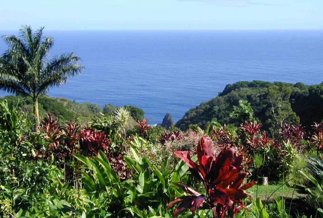 Photo of Others in Kahului