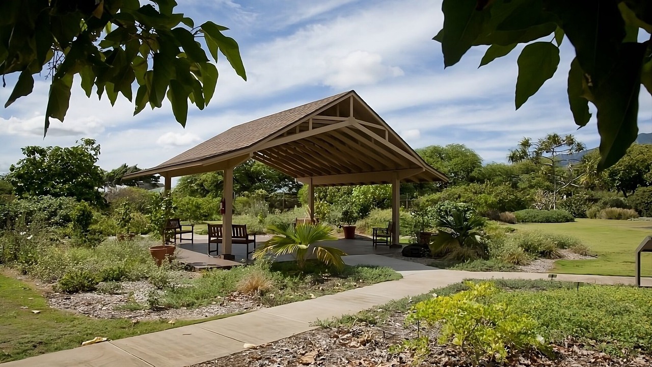 Photo of Outdoor in Kahului