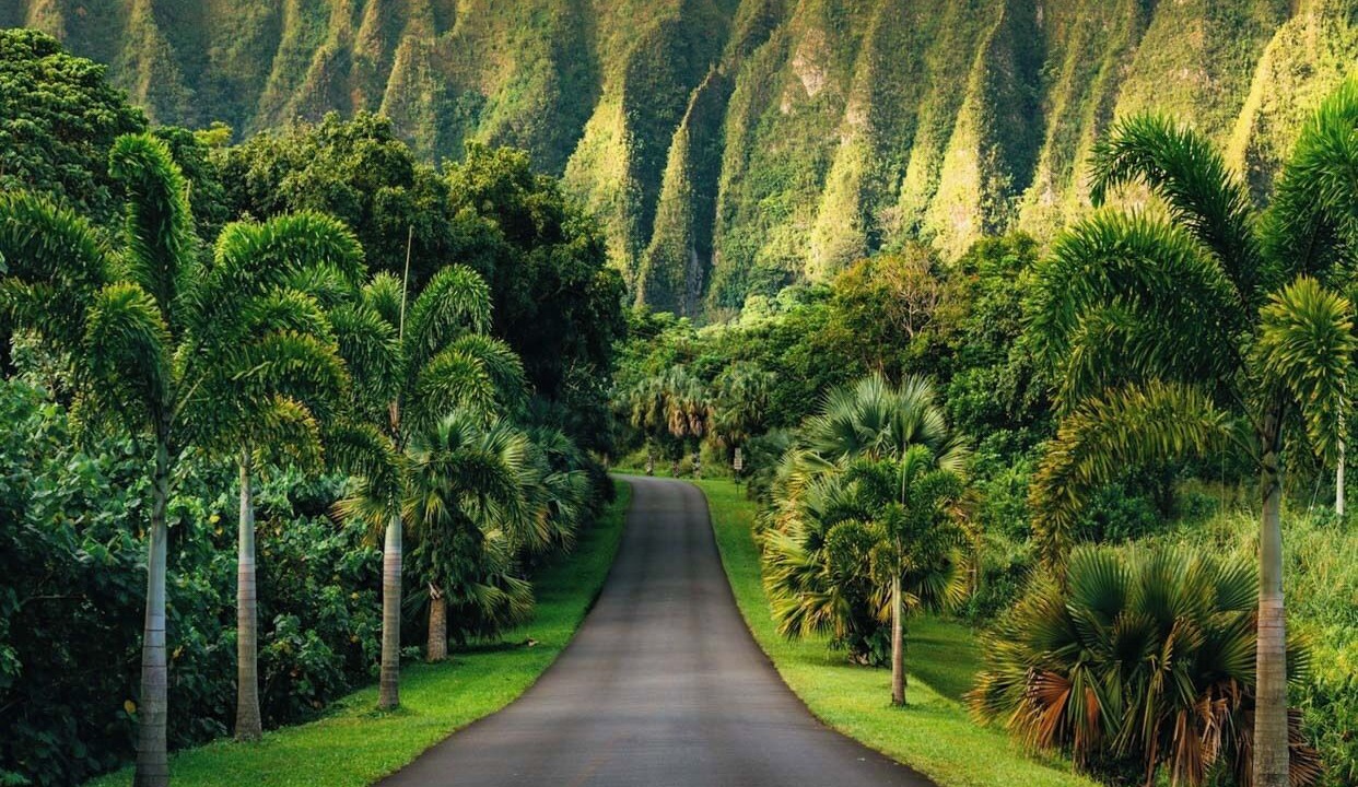 Photo of Outdoor in Keolu Hills