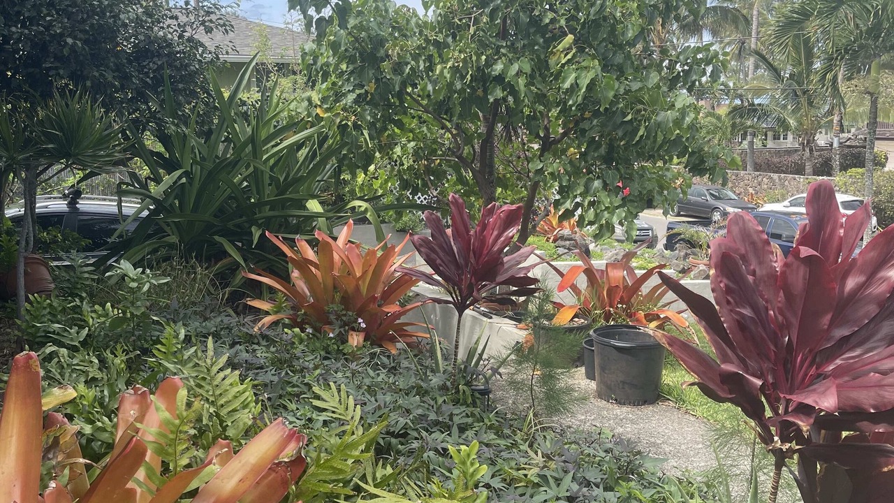 Photo of Outdoor in Waimanalo