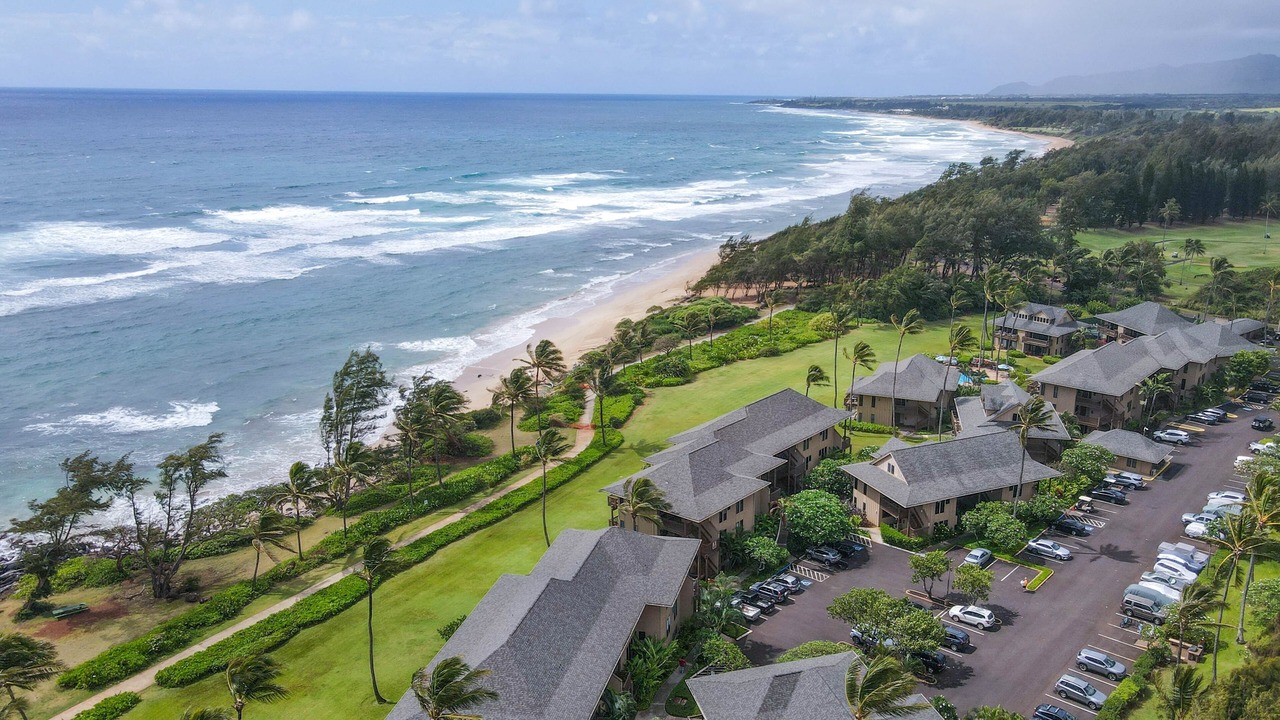 Photo of Others in Lihue