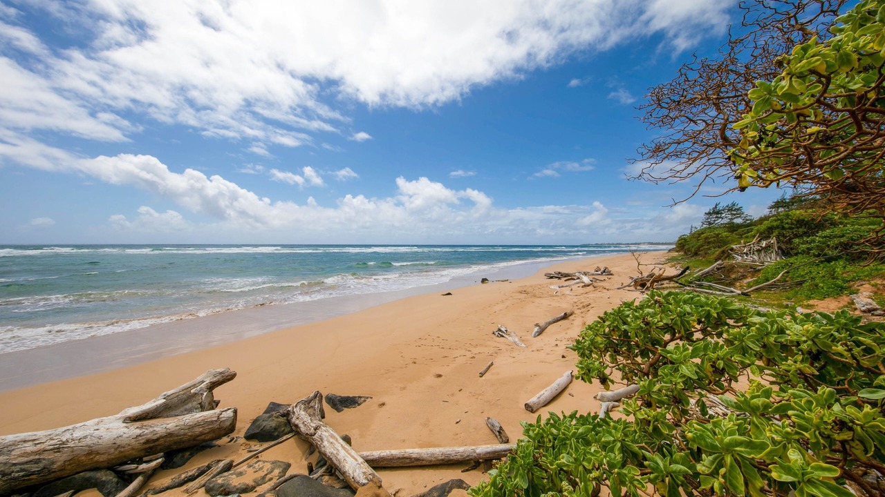 Photo of Others in Lihue