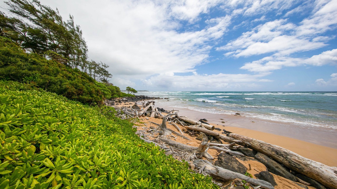 Photo of Others in Lihue