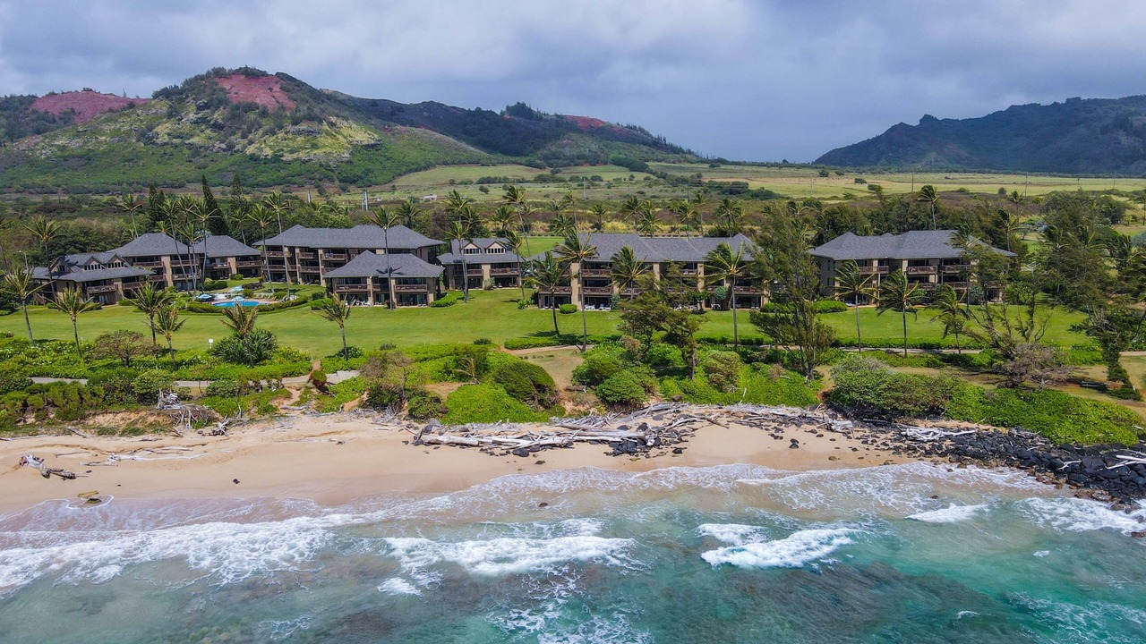 Photo of Others in Lihue