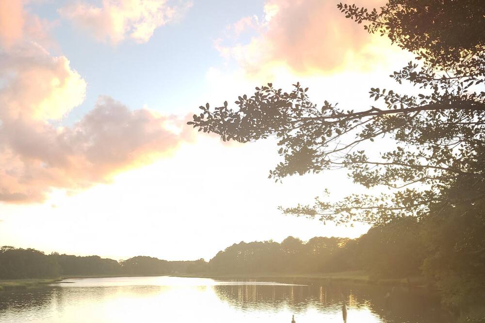 Photo of Others in Chesapeake