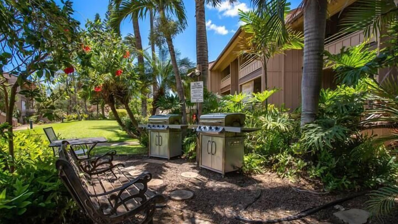Photo of Outdoor in Kihei