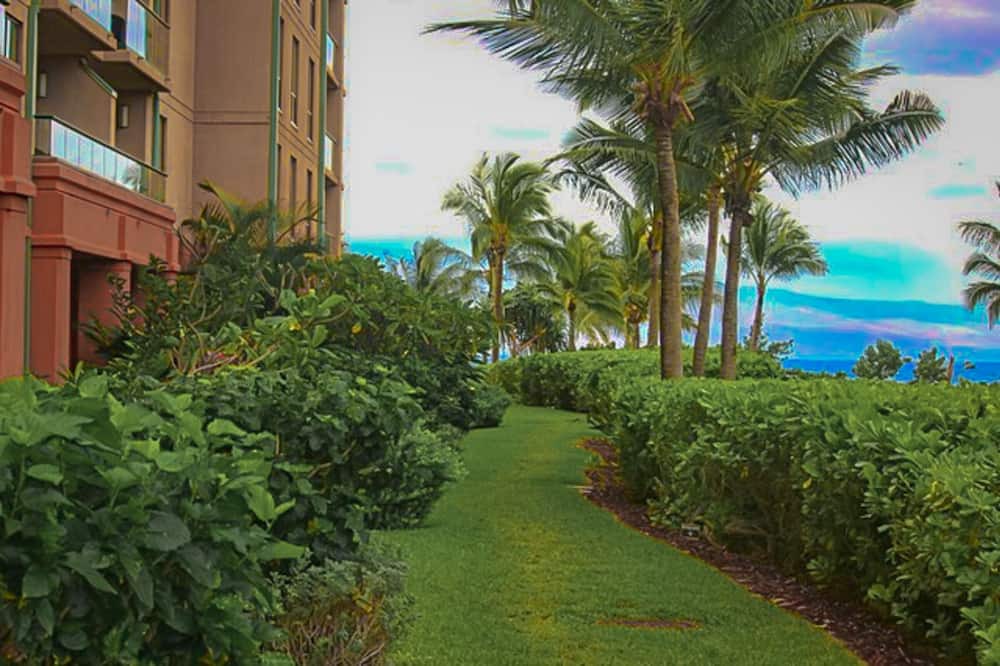 Photo of Outdoor in Honokowai