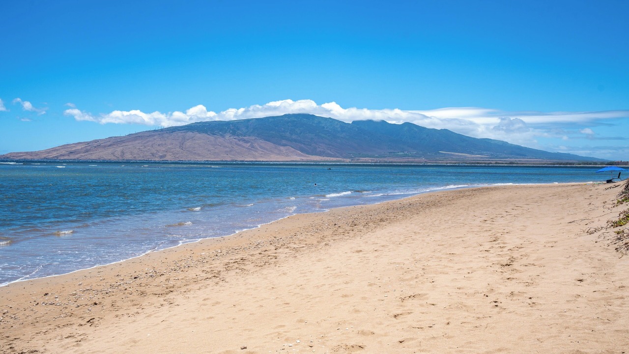 Photo of Others in Kihei