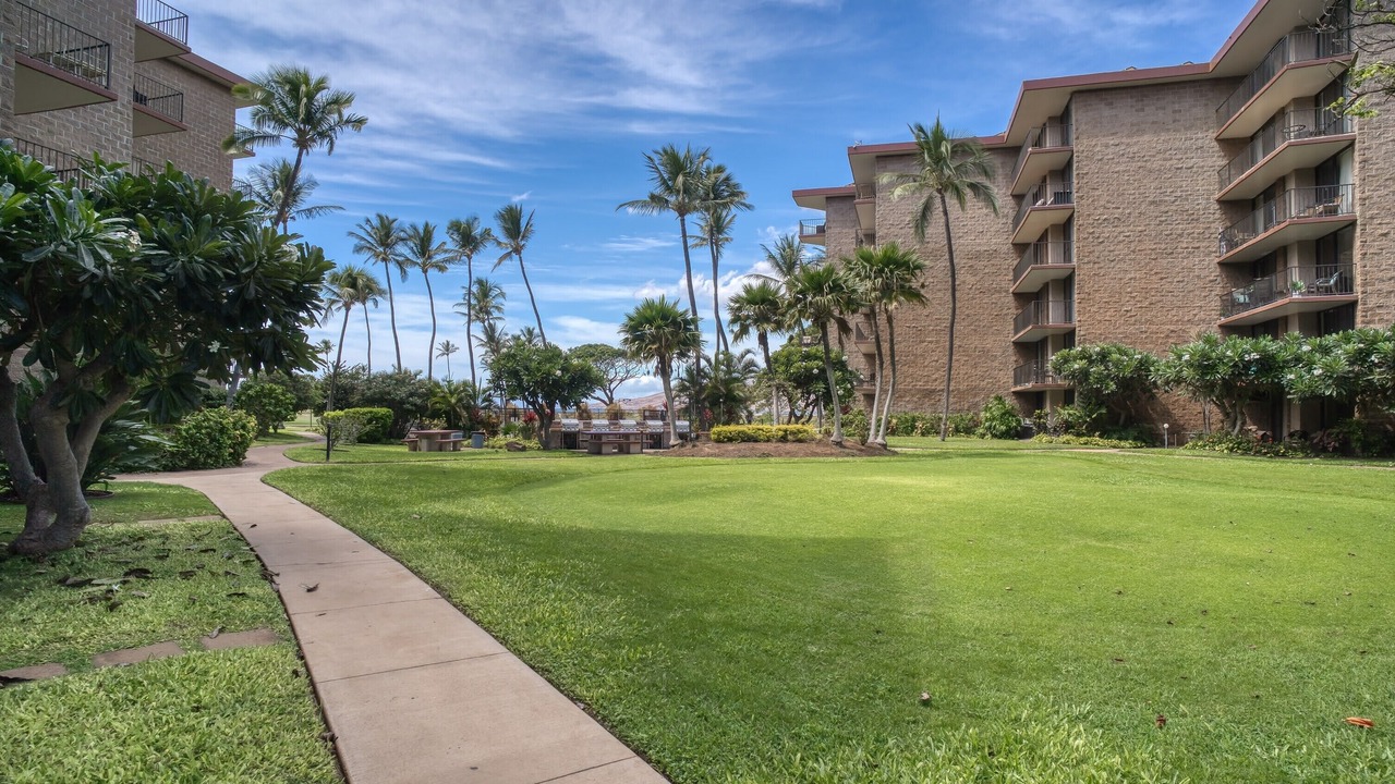 Photo of Outdoor in Kihei