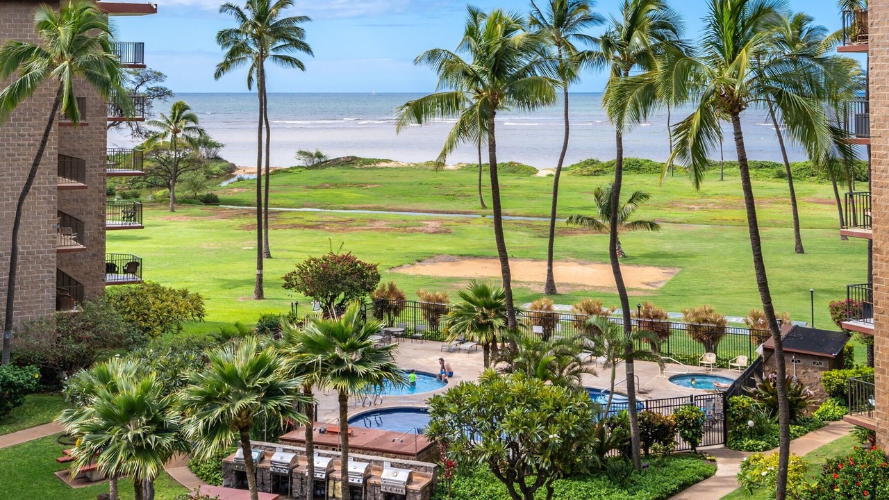 Photo of Others in Kihei