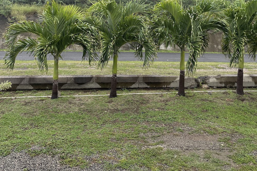 Photo of Outdoor in Waianae