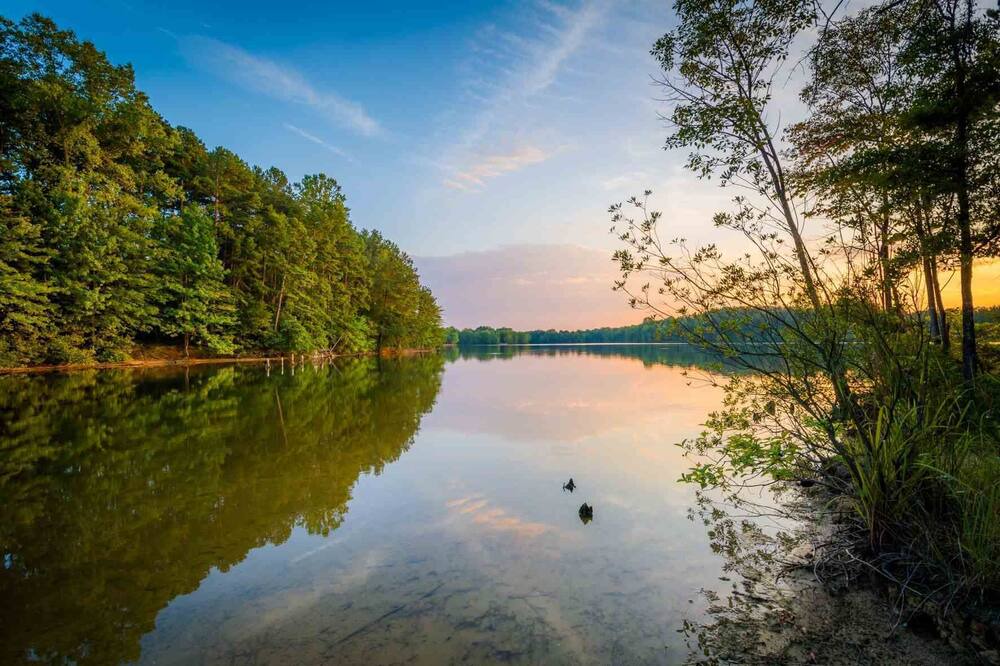Photo of Others in Hickory