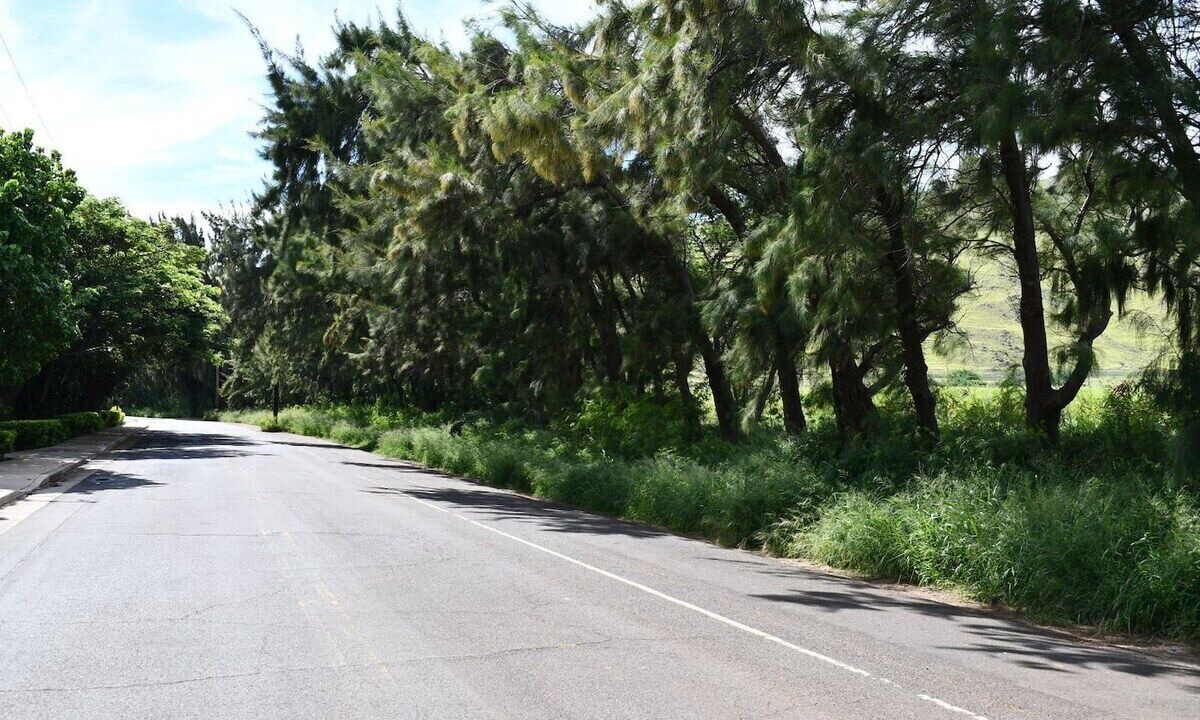 Photo of Outdoor in Maalaea