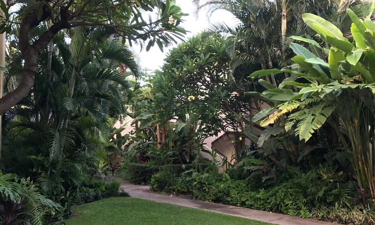 Photo of Outdoor in Maalaea