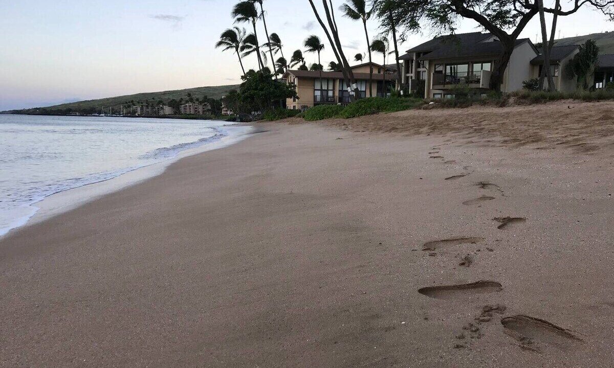 Photo of Others in Maalaea