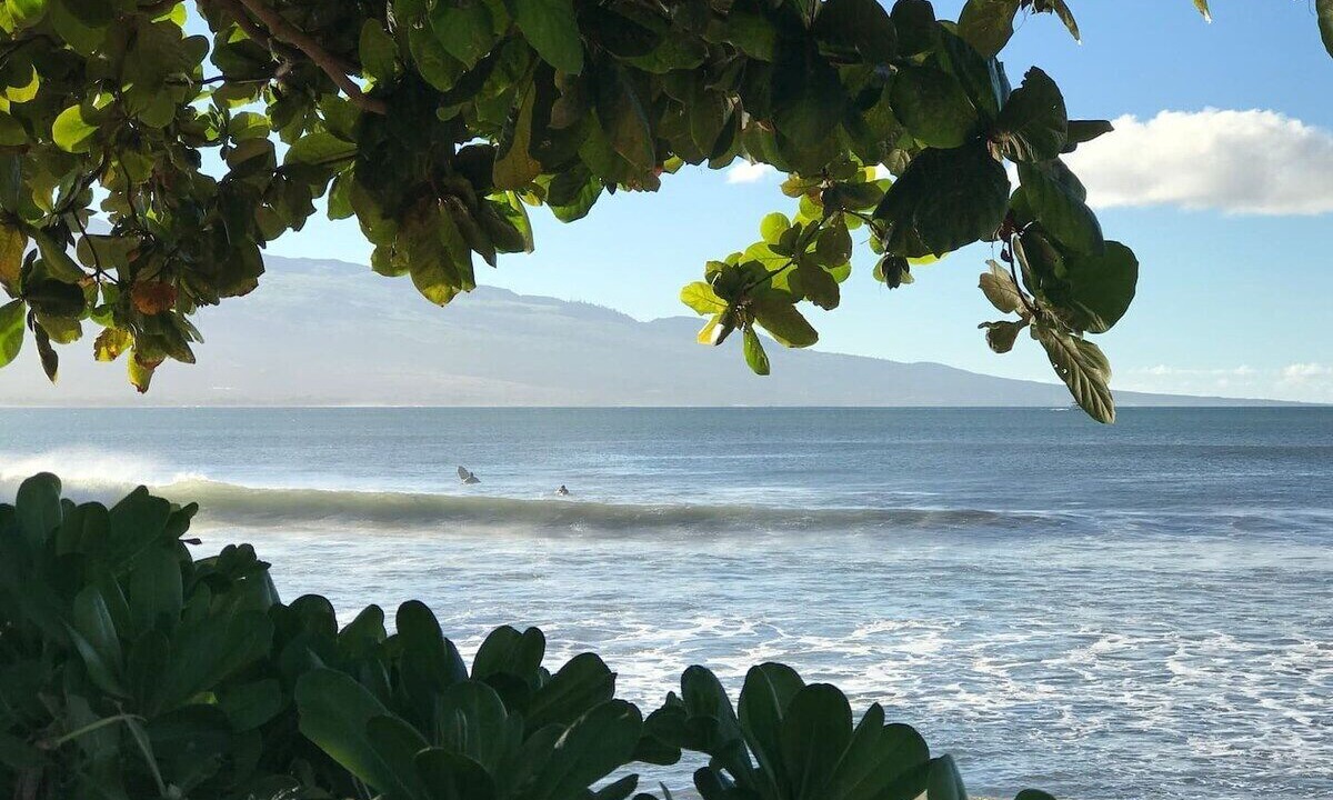 Photo of Outdoor in Maalaea