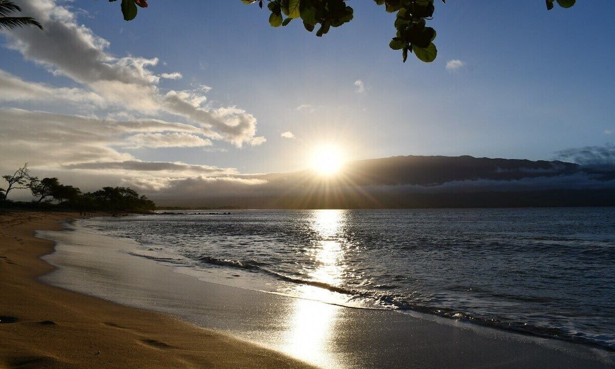Photo of Others in Maalaea