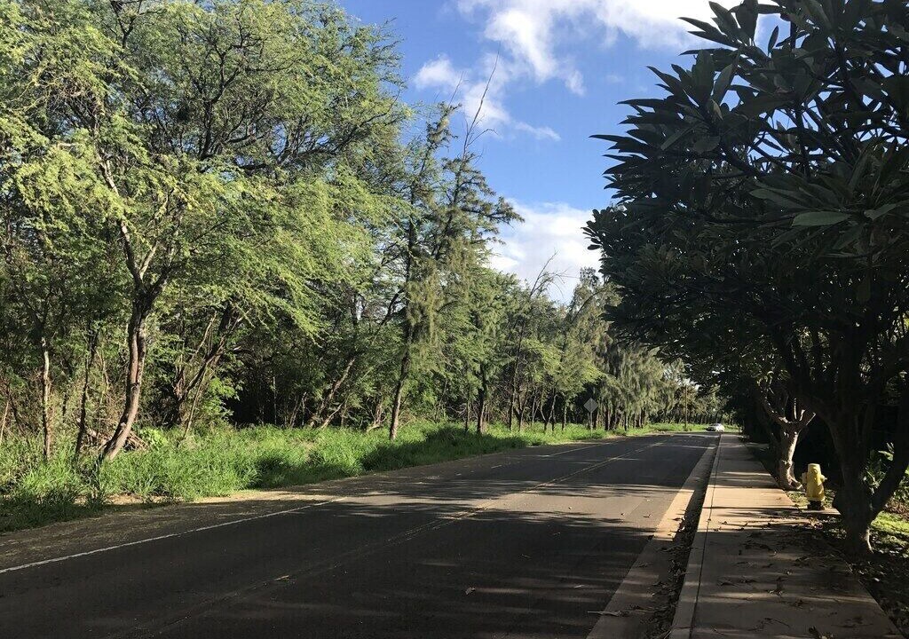 Photo of Outdoor in Maalaea