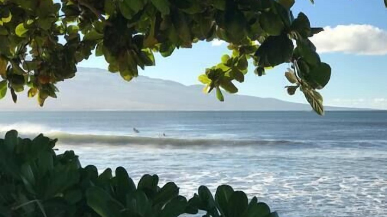 Photo of Others in Maalaea