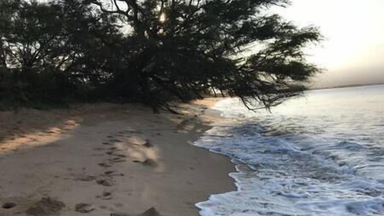 Photo of Others in Maalaea
