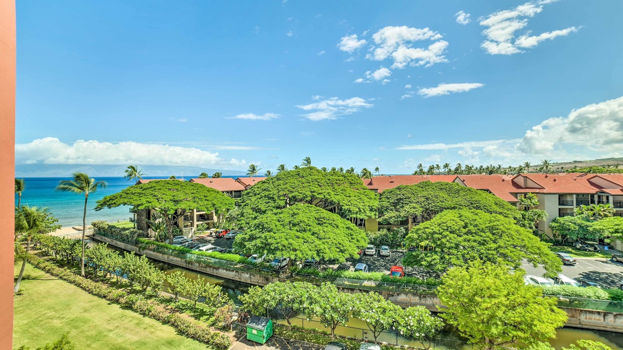 Photo of Others in Honokowai