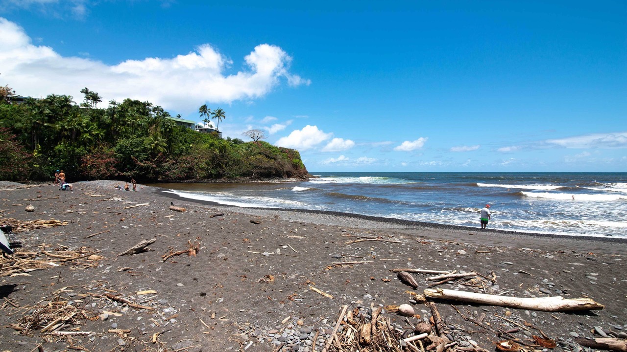 Photo of Others in Hilo