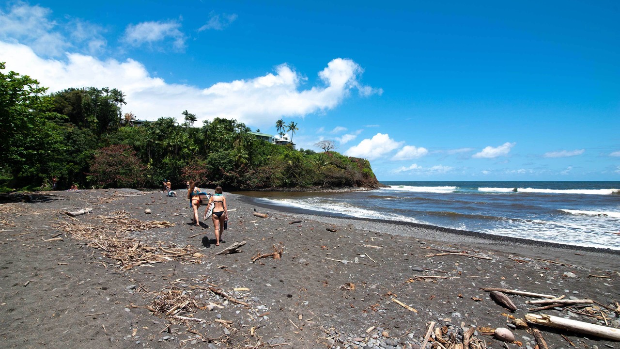 Photo of Others in Hilo