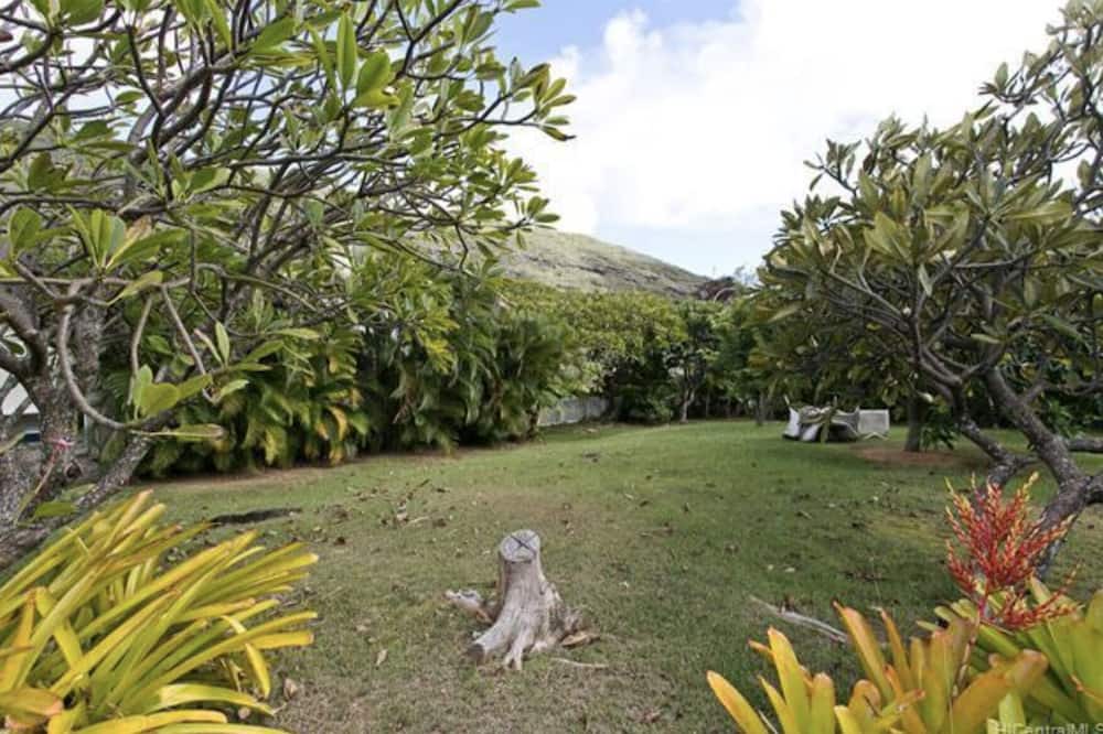 Photo of Outdoor in Hawaii Kai