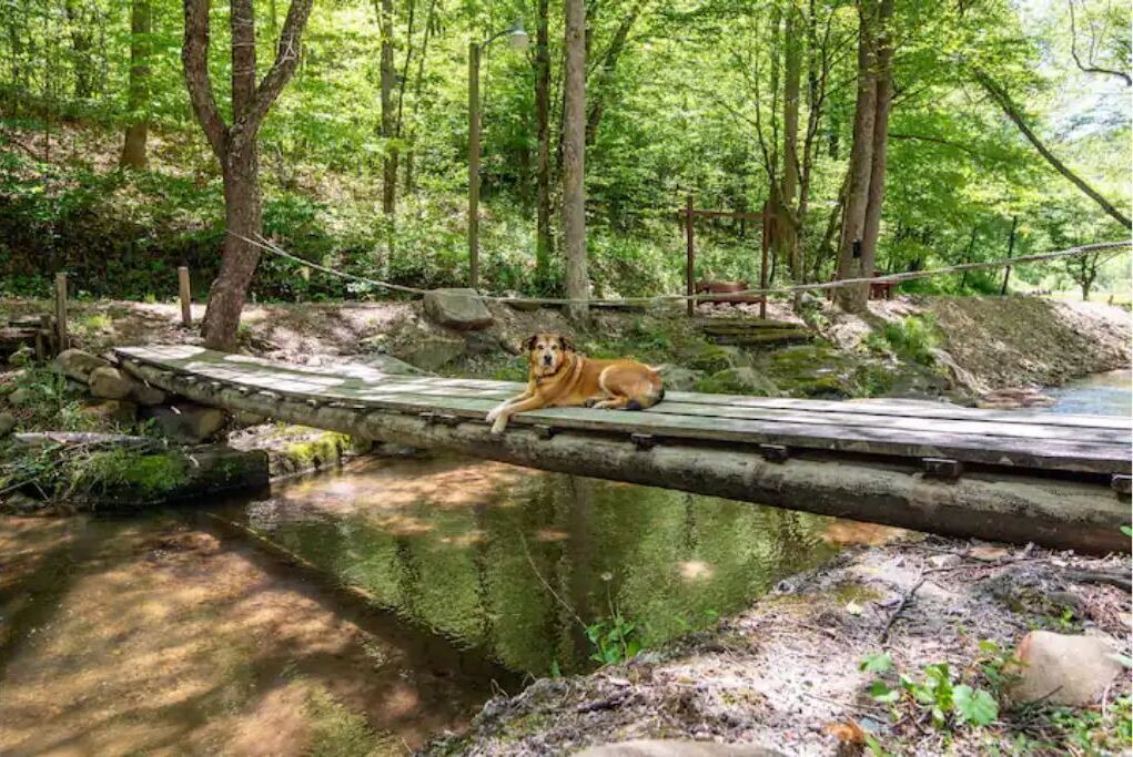 Photo of Others in Millers Creek