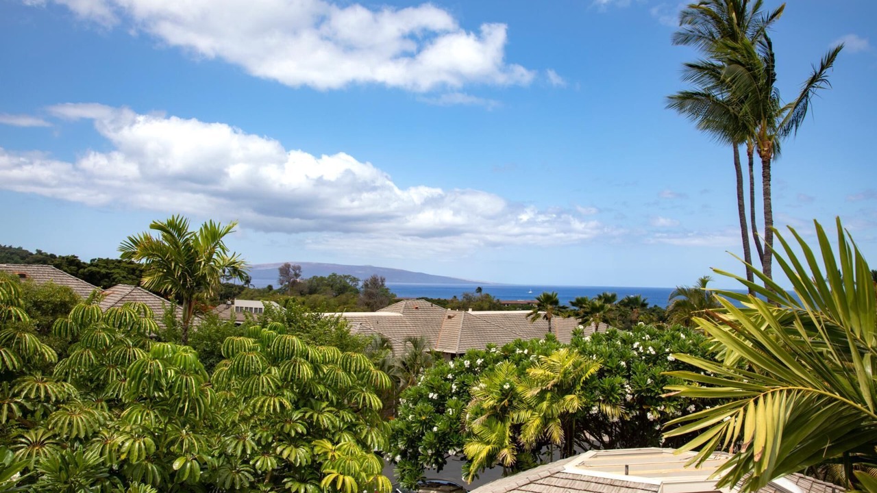 Photo of Others in Wailea