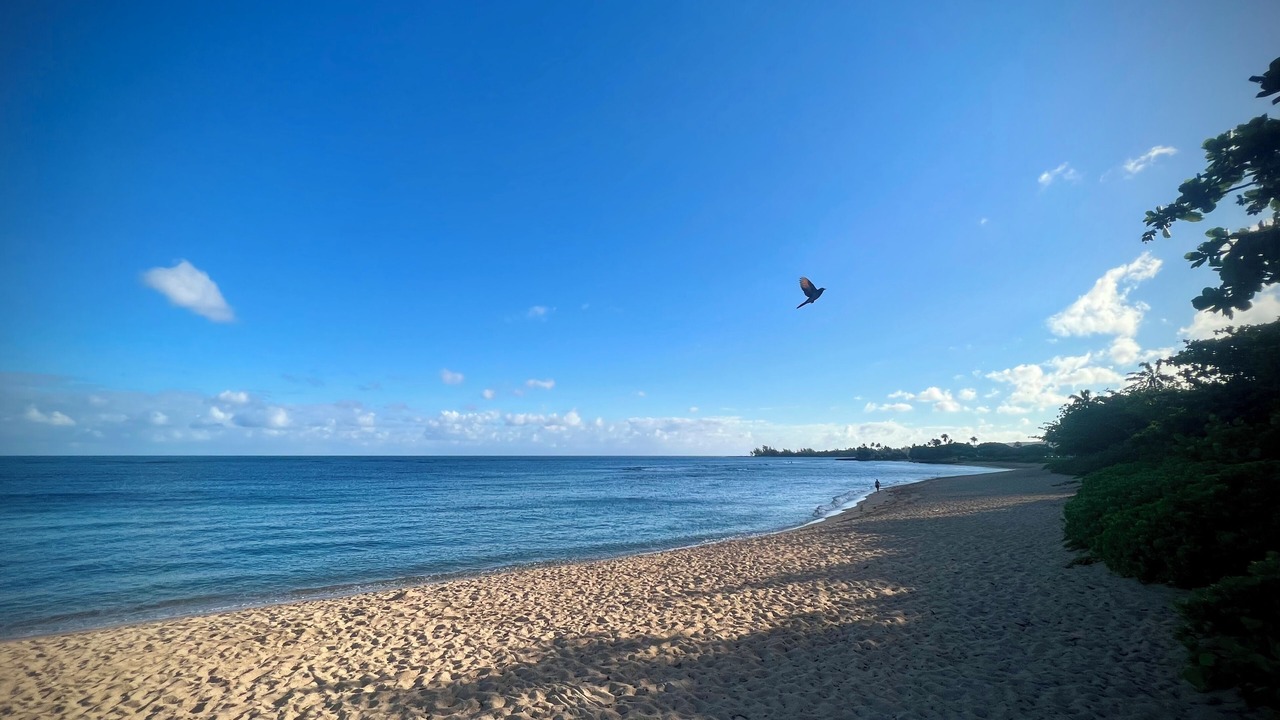 Photo of Others in Waialee