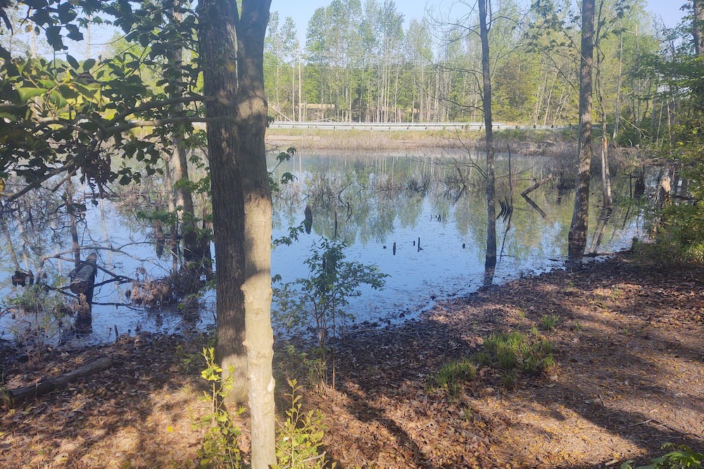 Photo of Outdoor in Corbin