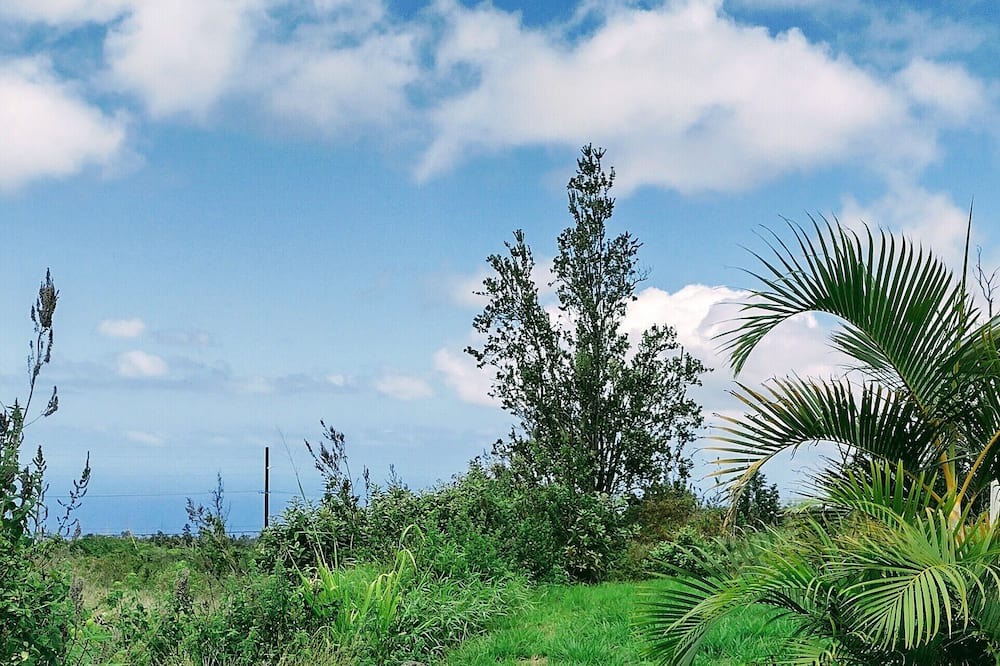 Photo of Outdoor in Ocean View