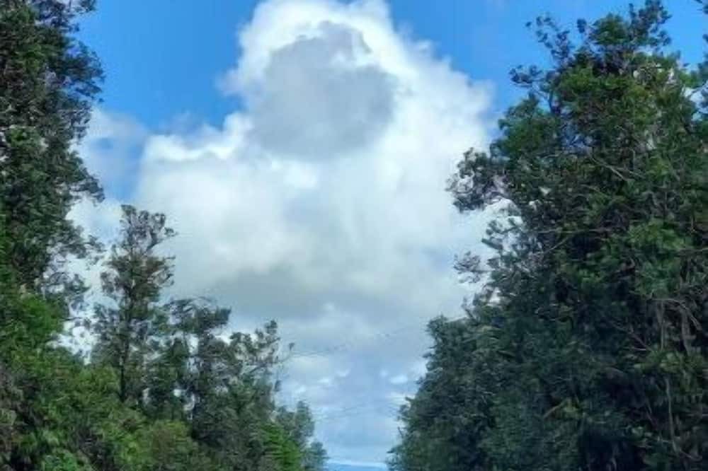 Photo of Outdoor in Fern Acres