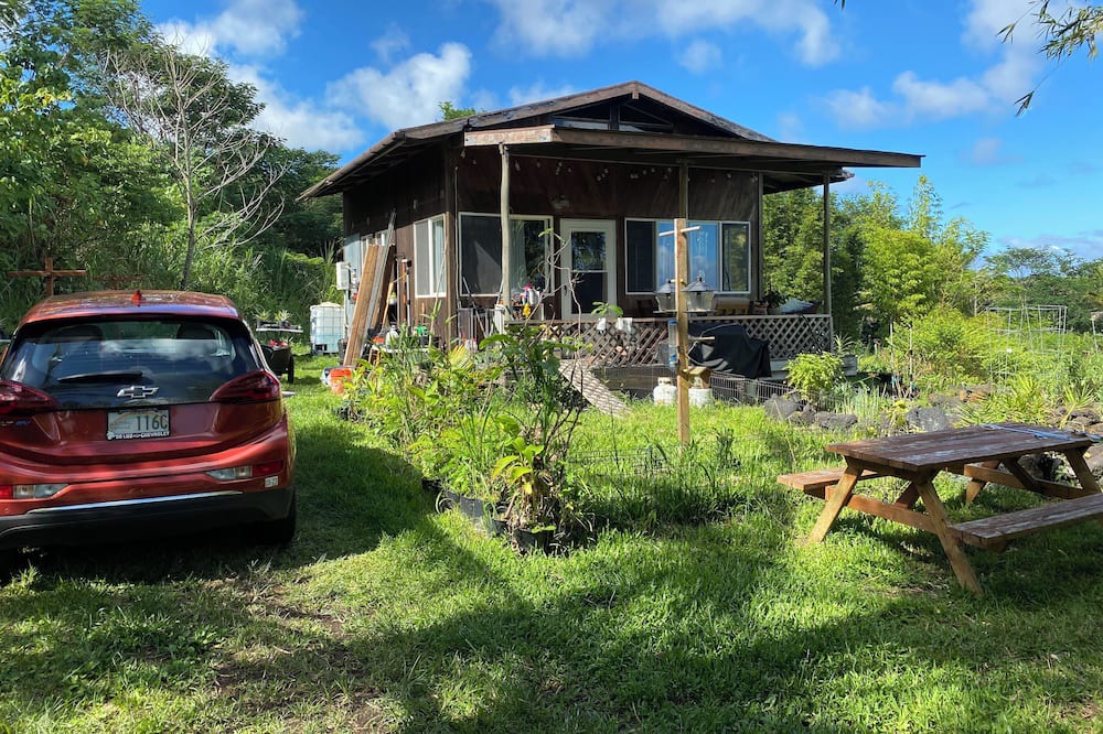 Photo of Outdoor in Kapoho