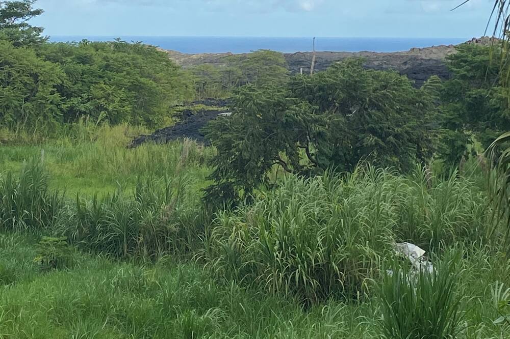 Photo of Others in Kapoho
