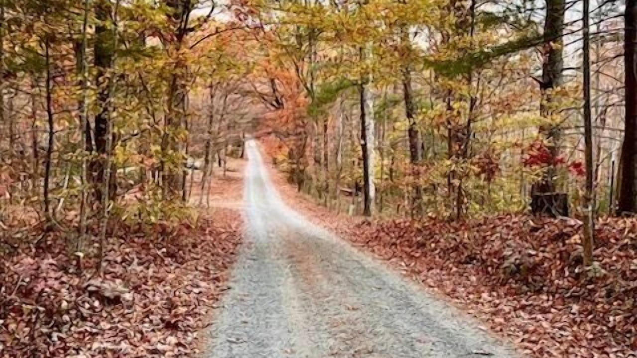 Photo of Outdoor in Hood