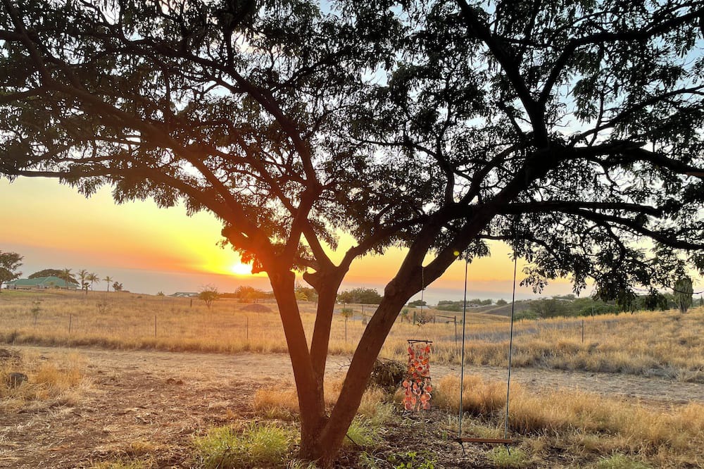 Photo of Outdoor in Kohala Estates
