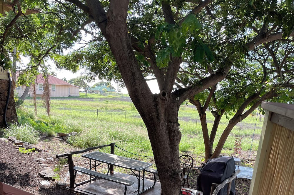 Photo of Outdoor in Kohala Estates