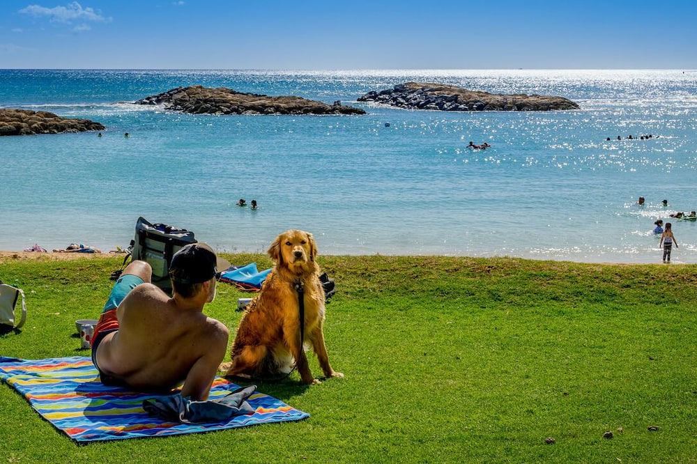 Photo of Others in Ko Olina