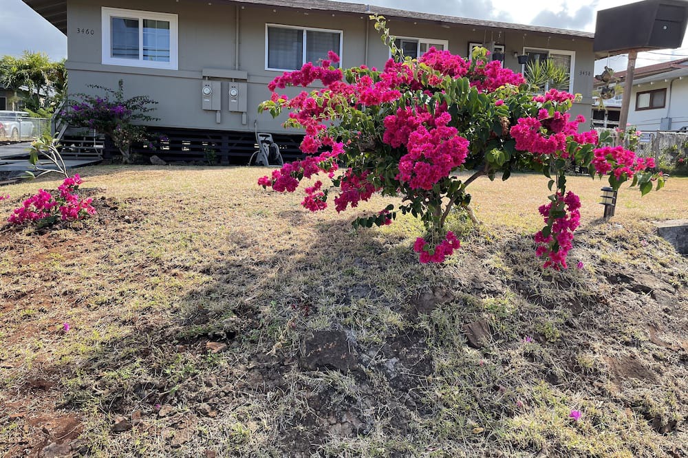 Photo of Outdoor in Western Honolulu