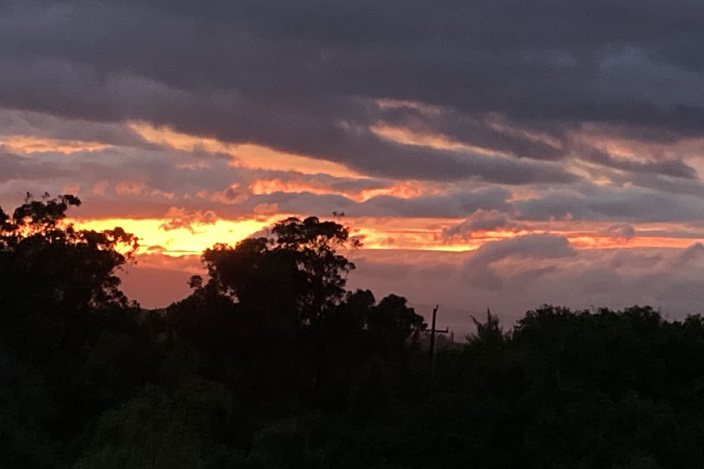 Photo of Outdoor in Pauwela